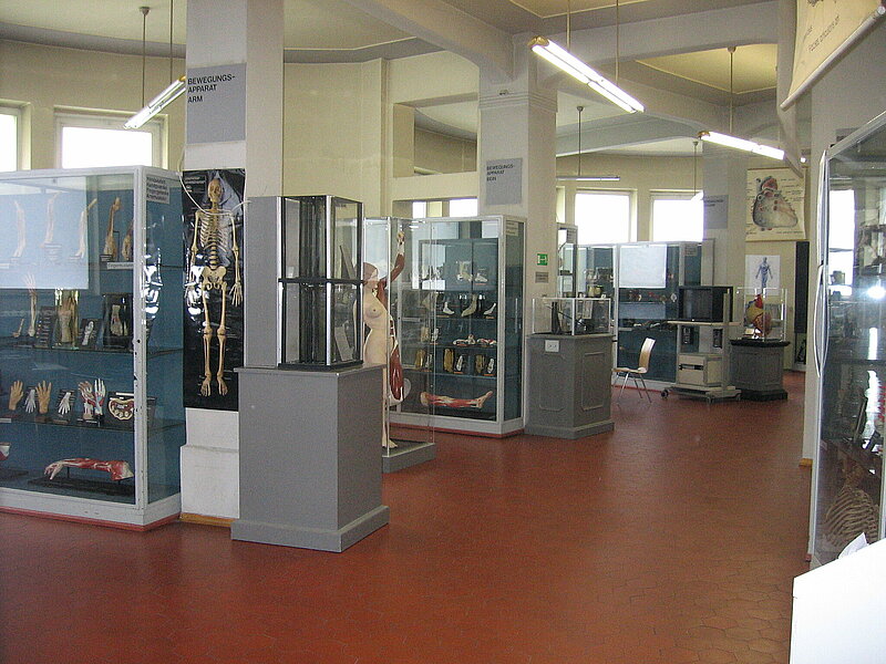 Anatomical Collections